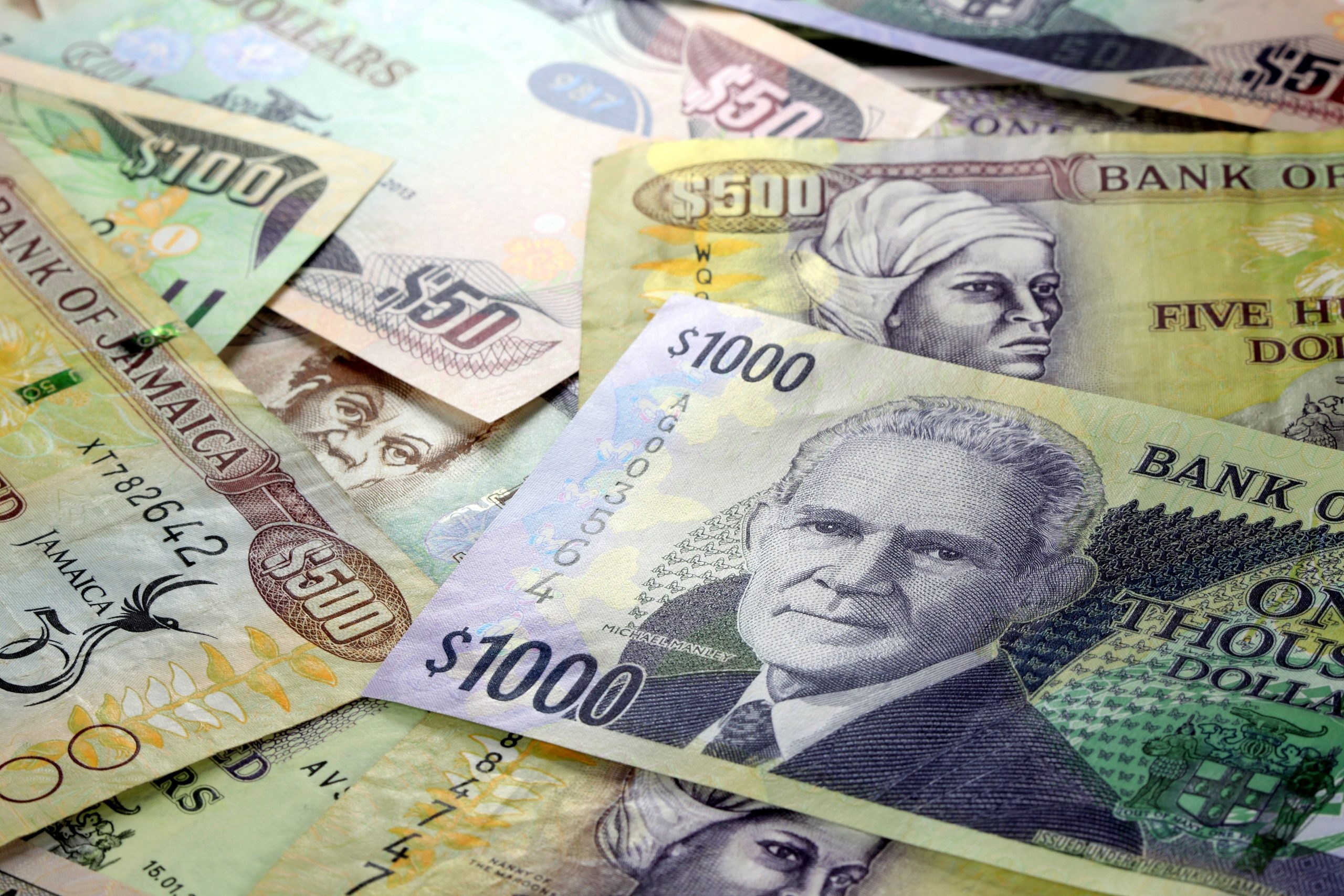 Dividends Image